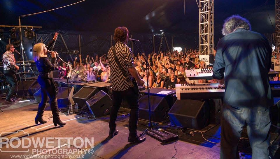 <q>fake festival 1.</q>